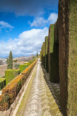 Fototapeta na wymiar Gardens in Granada in winter