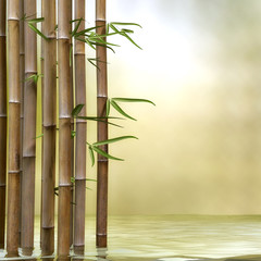 Naklejki  Bambus w wodzie