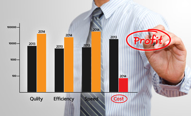 Businessman writing profit chart in 2014