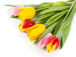 Obraz premium Beautiful tulips in bucket isolated on white