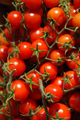 Cherry tomato for sale