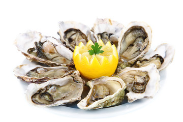 Oysters isolated on white