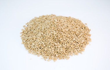 wheat in isolated background