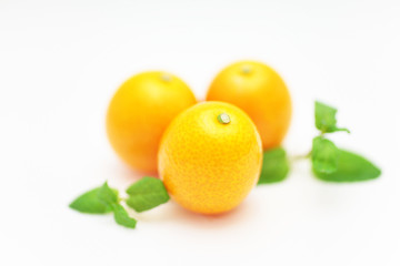 新鮮なキンカン