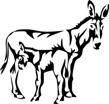 donkey with young