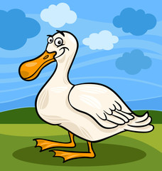 duck bird farm animal cartoon illustration