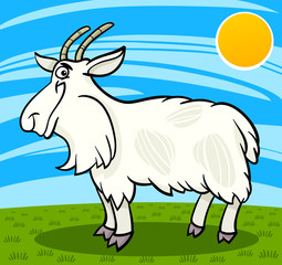Obraz na płótnie Canvas hairy goat farm animal cartoon illustration