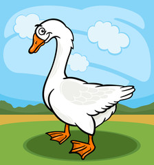 goose bird farm animal cartoon illustration