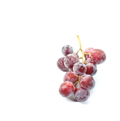 Fototapeta premium red grape isolated on white
