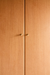 Wardrobe door made ​​of fine wood and beautifully healthy.