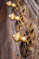 door of a palace in Turkey