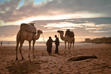 Spiaggia di  Taghazout