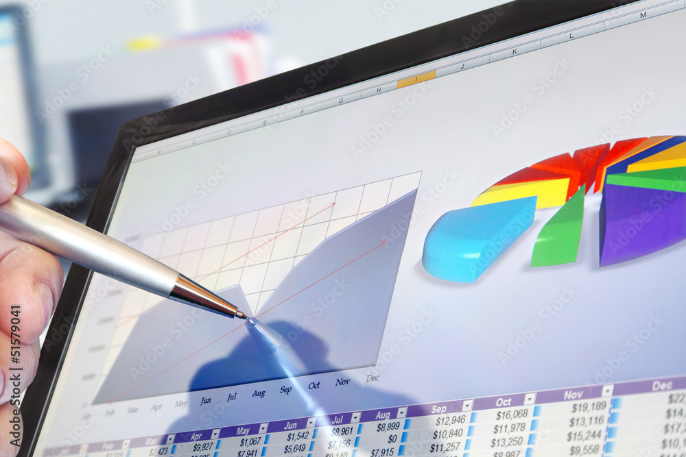 Fototapete analyzing financial data and charts on computer screen