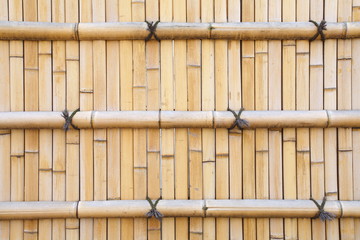 bamboo fence