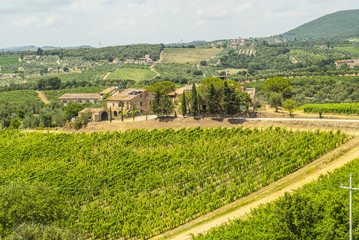 Fototapeta na wymiar Toskania - Chianti winnice