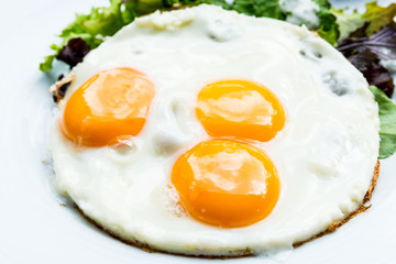 Prepared Egg