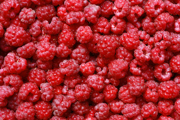 raspberries background