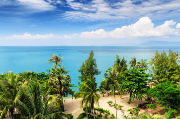 Beautiful tropical landscape. Samui Island, Thailand