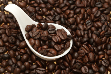Close up of coffee Beans in white spoon