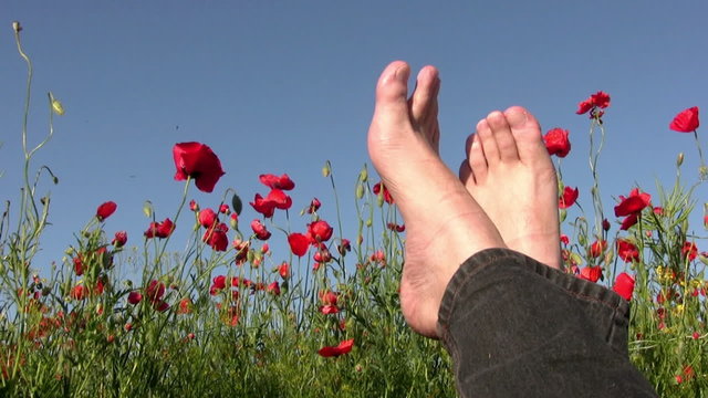 Slacker on poppy field