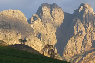 Fototapete Rund General view of landscape in Stellenbosch wine region, Western C © jon11