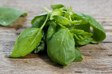 Leaves of fresh basil on vintage brown wooden table
