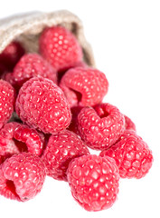 Portion of Raspberries on white