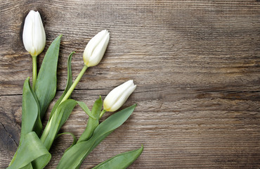 White tulips on wooden table