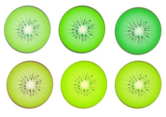 Kiwi fruit slices in multiple green shade color