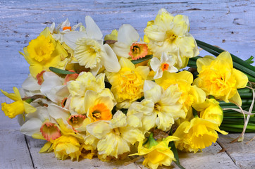 Frühling: Bouquet mit verschiedenen Osterglocken