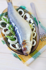 herring