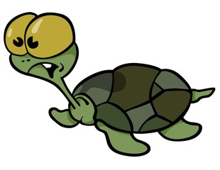 Green Turtle