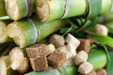 sucre de canne