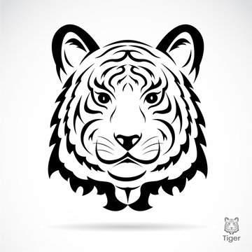 Tiger head silhouette. Vector illustration