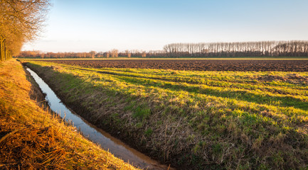 Rural landscape with a ditch