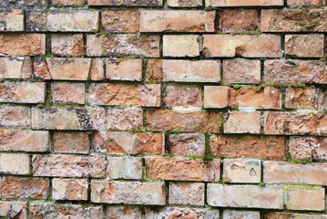Brick Wall
