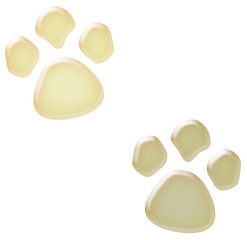 3d white paw prints illustration