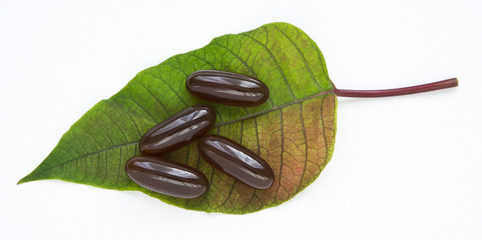 Omega-3 for your health