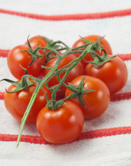 Cherry tomatoes - Pomodorini ciliegieno