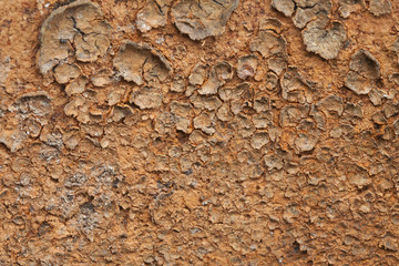 Rusty textured metal background