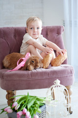 Little boy sitting in a chair with a rabbit