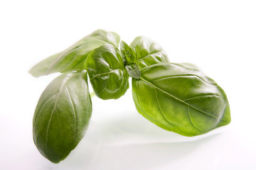 Fresh basil