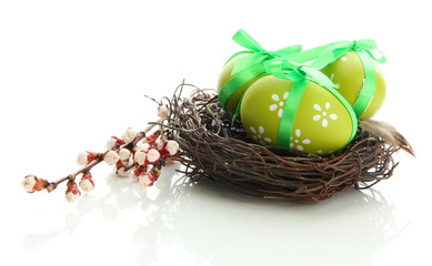 Beautiful easter eggs in nest and apricot blossom, isolated