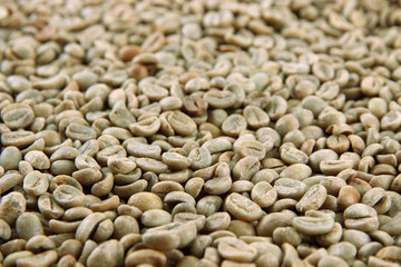 Green coffee beans, close up