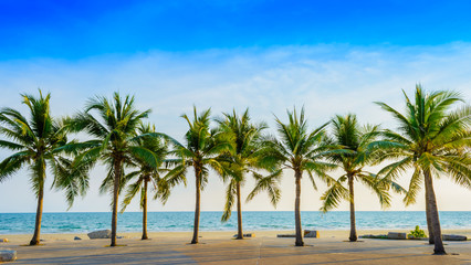 Fototapeta na wymiar Fantastic tropical beach with palms, Thailand