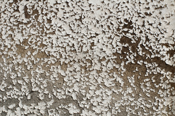 Old cracked paint on boards