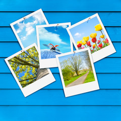 Endlich Frühling!, Schnappschüsse, Pinwand, Sofortbild