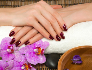 Hand care and manicure in the salon spa