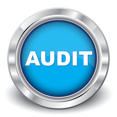 AUDIT ICON