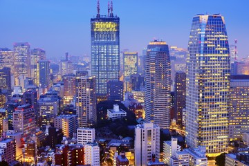 Fototapeta premium Tokyo Cityscape